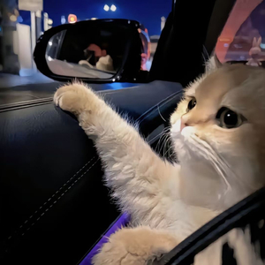 公交车一边做爰一边吃奶
