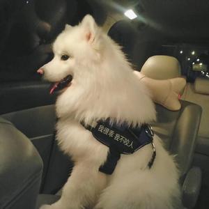 公交车一边做爰一边吃奶
